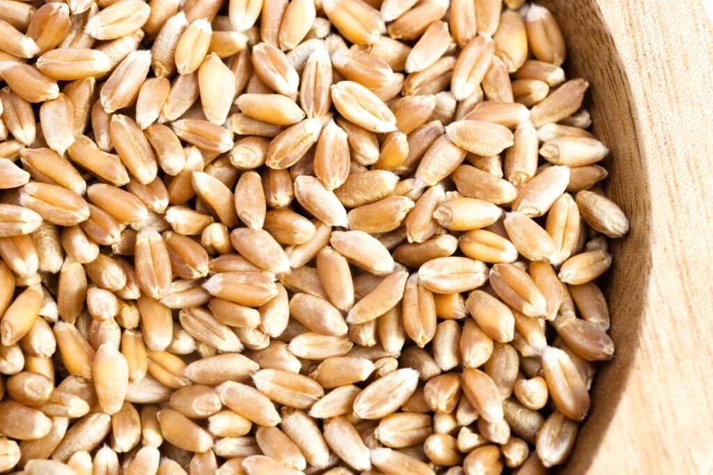 Whole Wheat