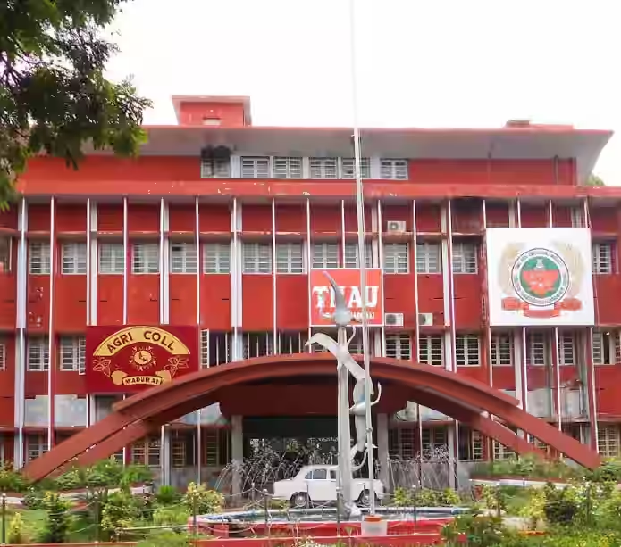 Agricultural College and Research Institute