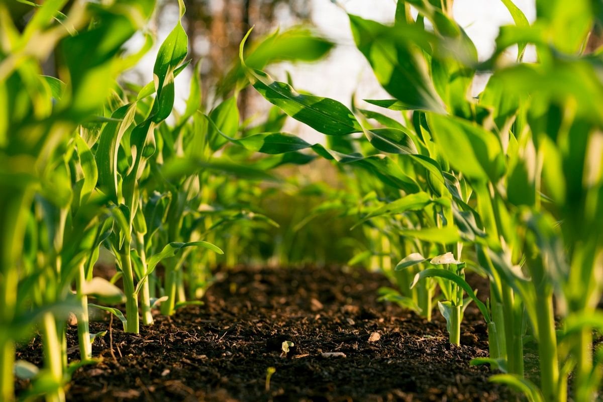 AgriTech drone farming and agricultural technology innovation 2026