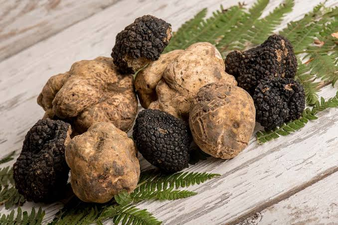 White Alba Truffle