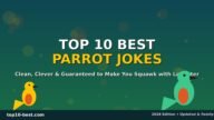 parrot-jokes