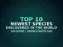 Top 10 New Species Discovered
