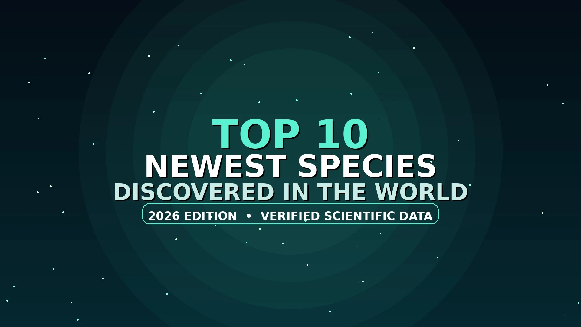 Top 10 New Species Discovered