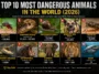 Top 10 Most Dangerous Animals